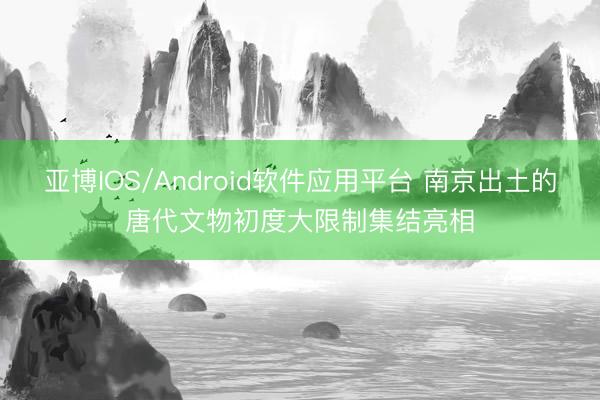 亚博IOS/Android软件应用平台 南京出土的唐代文物初度大限制集结亮相