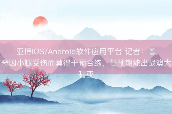 亚博IOS/Android软件应用平台 记者：普利西奇因小腿受伤而莫得干预合练，但预期能出战澳大利亚