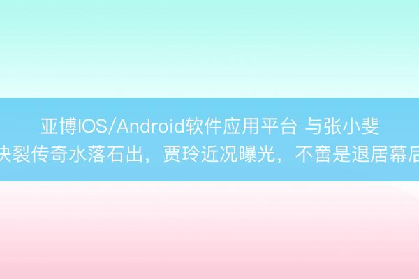 亚博IOS/Android软件应用平台 与张小斐决裂传奇水落石出，贾玲近况曝光，不啻是退居幕后