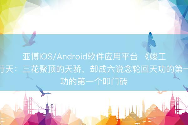 亚博IOS/Android软件应用平台 《竣工宇宙》风行天：三花聚顶的天骄，却成六说念轮回天功的第一个叩门砖